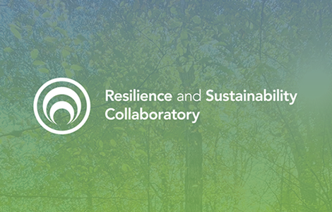 Resilience and Sustainability Collaboratory Identity & Logo Design