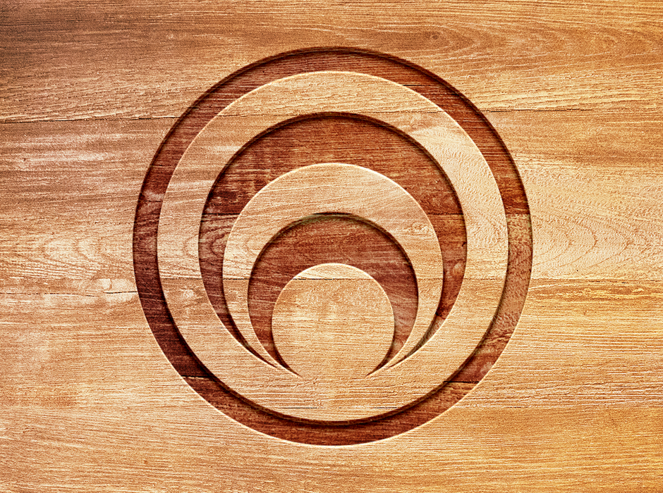 Resilience and Sustainability Collaboratory Identity