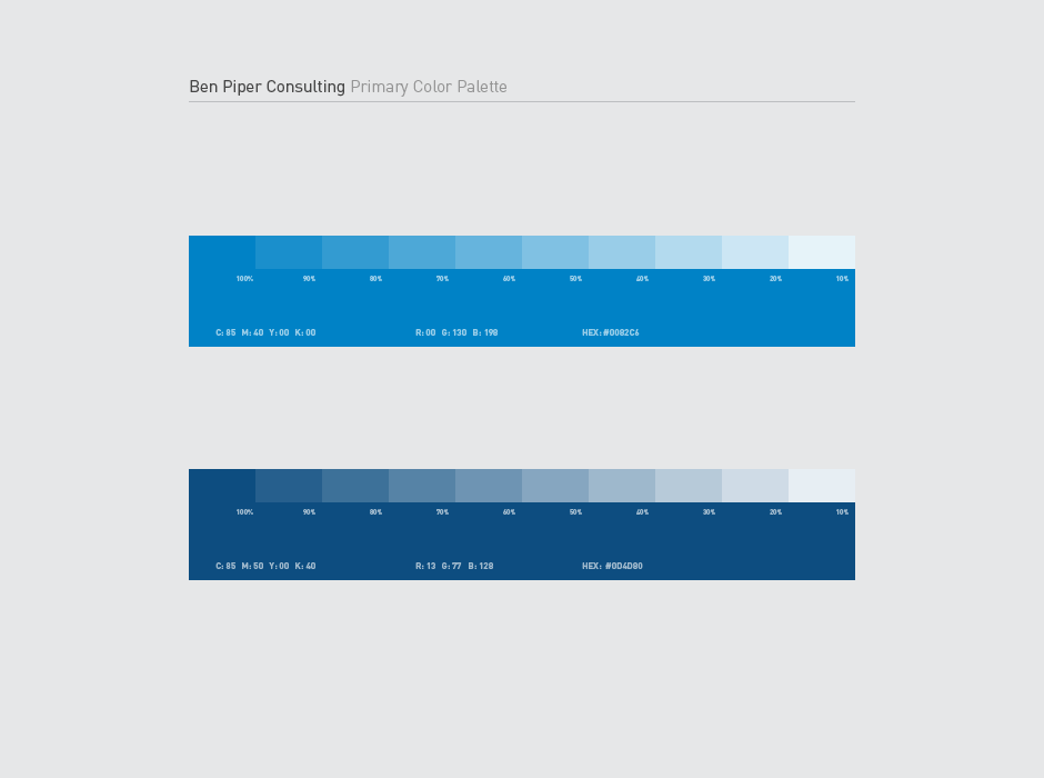 Ben Piper Consulting Logo Color Palette